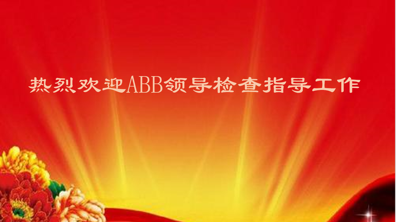 热烈欢迎ABB领导莅临我公司检查指导工作